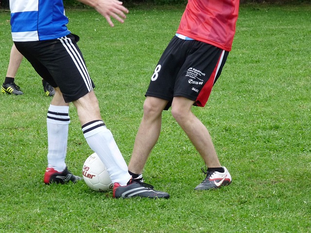 长期以来在 长期以来在