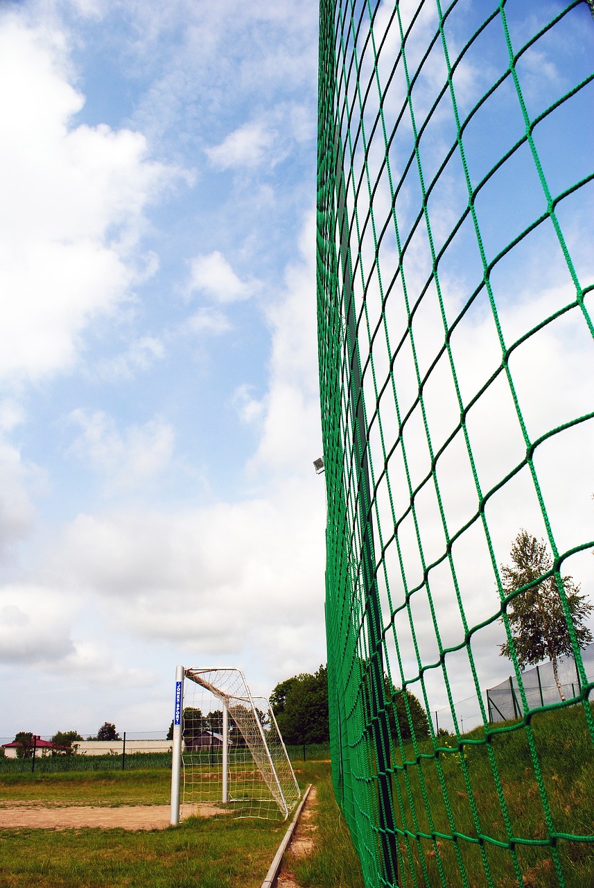 还是他们之 还是他们之