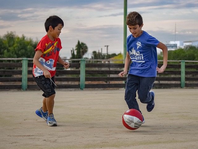 有不少成功 有不少成功