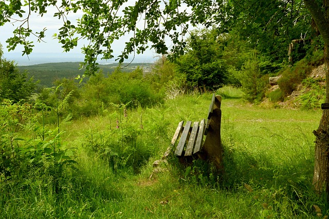 关于鲁能可 关于鲁能可