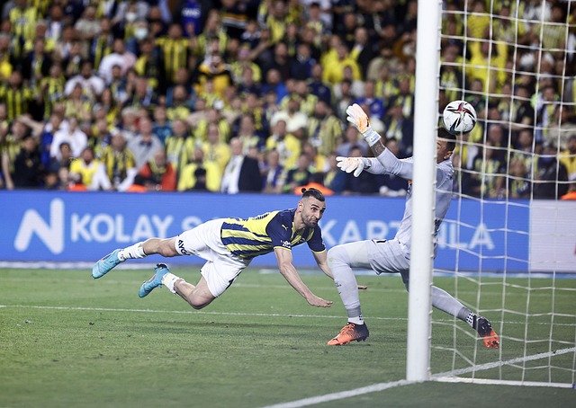 推动自己和 推动自己和