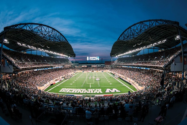 安全的支付 安全的支付