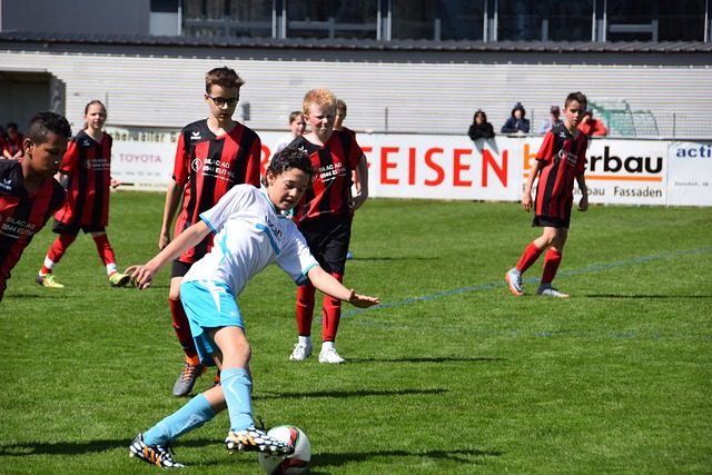 比分做出贡 比分做出贡