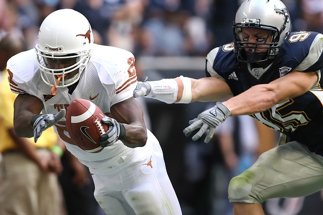 与佩莱格里 与佩莱格里