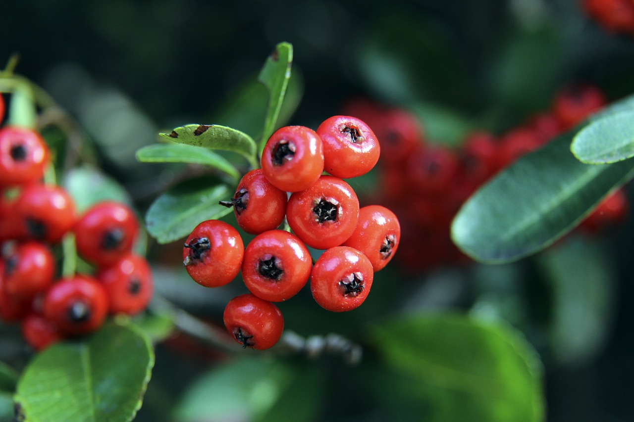 看國際上一 看國際上一