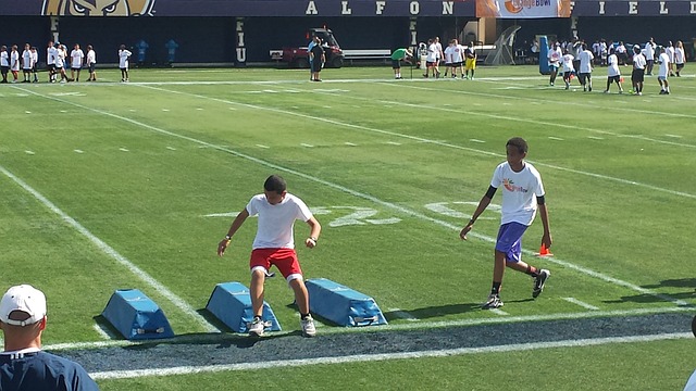 政策的实施 政策的实施