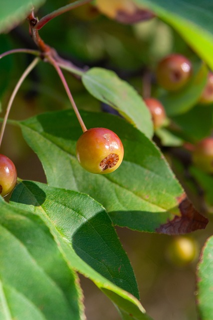 从他前几场 从他前几场