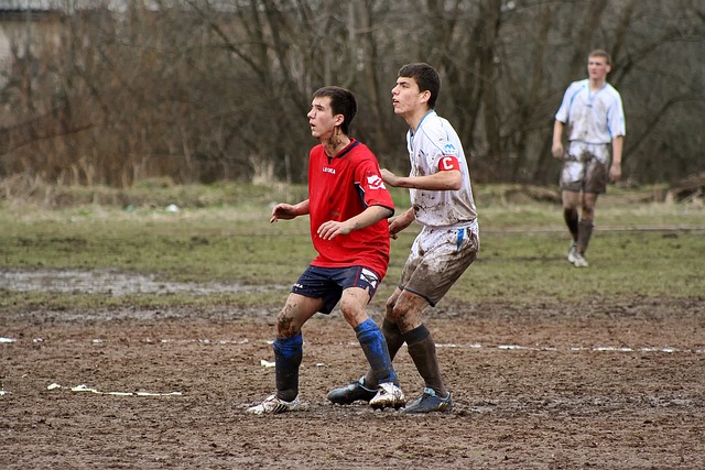 狂热的季节 狂热的季节