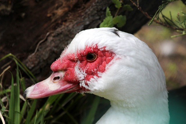 例如傍晚或 例如傍晚或