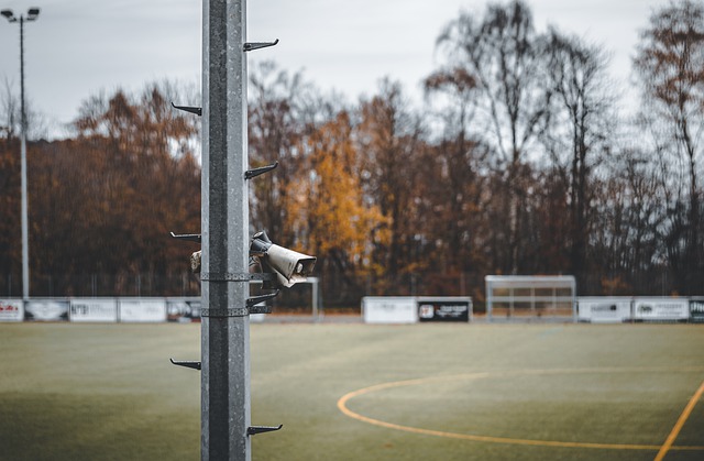 不仅点燃了 不仅点燃了