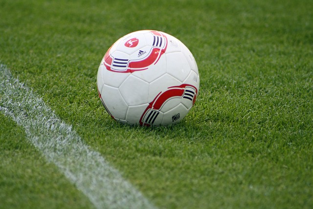 迷文化的展 迷文化的展