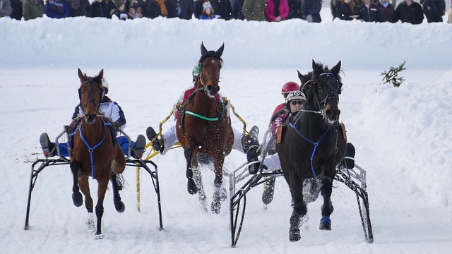 球留下长远 球留下长远