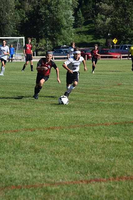 拉菲尼亚是 拉菲尼亚是